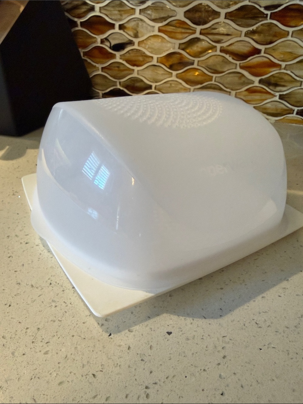 Tupperware White Decorative Covered Cheese Keeper